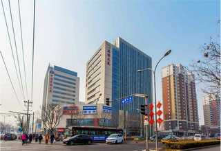 珠海香精球樟脑丸哪里买